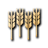 Farm