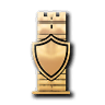Desert Citadels